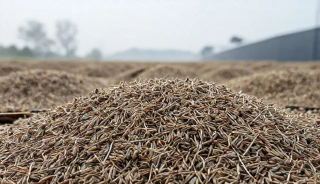 抗病虫害种子在农产品销售中的适用边界